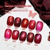 image:imageJODSONE 10 Colors Gel Nail Polish Set with Base Coat and Top Coat Magnetic Stick Aurora Crystals Cat Eye Perfect Holiday Gifts for Manicure and Lovers10ColorsCE6