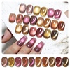 image:imageJODSONE 10 Colors Gel Nail Polish Set with Base Coat and Top Coat Magnetic Stick Aurora Crystals Cat Eye Perfect Holiday Gifts for Manicure and Lovers10ColorCE14
