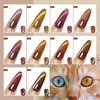 image:imageJODSONE 10 Colors Gel Nail Polish Set with Base Coat and Top Coat Magnetic Stick Aurora Crystals Cat Eye Perfect Holiday Gifts for Manicure and Lovers10ColorCE14