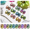 image:imageJODSONE 10 Colors Gel Nail Polish Set with Base Coat and Top Coat Magnetic Stick Aurora Crystals Cat Eye Perfect Holiday Gifts for Manicure and Lovers10ColorsCE5