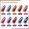 image:imageJODSONE 10 Colors Gel Nail Polish Set with Base Coat and Top Coat Magnetic Stick Aurora Crystals Cat Eye Perfect Holiday Gifts for Manicure and Lovers10ColorCE3