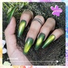 image:imageJODSONE 10 Colors Gel Nail Polish Set with Base Coat and Top Coat Magnetic Stick Aurora Crystals Cat Eye Perfect Holiday Gifts for Manicure and Lovers10ColorsCE5