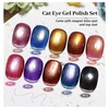 image:imageJODSONE 10 Colors Gel Nail Polish Set with Base Coat and Top Coat Magnetic Stick Aurora Crystals Cat Eye Perfect Holiday Gifts for Manicure and Lovers10ColorCE3