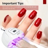 image:imageJODSONE 12 PCS 165 ml Gel Nail Polish Same Color Same Bottle with Base Coat and Top Coat 10 Colors for AtHome Salon Nail Art Holiday Gifts165mlRed