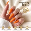 image:imageJODSONE 3Pcs 165ml Top Coat and Base Coat Set with Gel Nail Remover No Wipe Top Coat Base Need U V Lamp Cured Gel Nail Remover for Quick and Easy Removal At HomeGN010