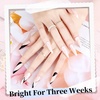 image:imageJODSONE 5ml Nail Art Gel Liner Set 10 Colors Gel Nail Polish Need U V Lamp Cured with Thin Brush Gift for Girls at Home Salon DesignPink Red Blue Purple10colors set2