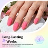 image:imageJODSONE Builder Gel for Nails4Pcs 10ML Builder Gel Set Nail Apex and Extension Strengthener Hard Need to Cured by Nail LampClear White Pink BrownGJ16GJ19