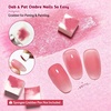 image:imageJODSONE Sponge Pat Paint Nail Gel 9 Colors French Gradient Gel Nail Blush Blooming At Home DIY Nail Art Designs9ColorPPG2