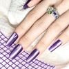 image:imageJODSONE 165ml Cat Eye Gel Nail Polish Silver Glitter Magnetic Reflective Translucent Need U V Curing2562FDark Purple