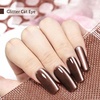 image:imageJODSONE 165ml Cat Eye Gel Nail Polish Silver Glitter Magnetic Reflective Translucent Need U V Curing2719FDark Brown