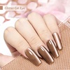 image:imageJODSONE 165ml Cat Eye Gel Nail Polish Silver Glitter Magnetic Reflective Translucent Need U V Curing2720FBrown