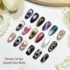 image:imageJODSONE 165ml Cat Eye Gel Nail Polish Silver Glitter Magnetic Reflective Translucent Need U V CuringA0  Pink Cat Eye Magnet Set