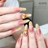 image:imageJODSONE Gold Glassy Cat Eye Gel Nail Polish 165mlHolographic Magnetic Cat Eye Gel Polish with MagnetReflective Translucent Need U V Curing Salon Gift for Girl amp WomenCAT05165MLCAT12