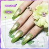 image:imageJODSONE Cat Eye Gel Nail Polish 10 Colors Blue Green Red with Base Coat Top Coat Magnet Stick Glazed Amber Cat Eye Gel for Home DIY10ColorCE1