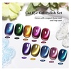 image:imageJODSONE Cat Eye Gel Nail Polish 10 Colors Blue Green Red with Base Coat Top Coat Magnet Stick Glazed Amber Cat Eye Gel for Home DIY10ColorCE8