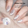 image:imageJODSONE 165ml Cat Eye Gel Nail Polish Pink Purple Glitter Magnetic Reflective Translucent at Home Salon Design Need U V CuringGlitter Silver 10ml CAT01