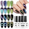 image:imageJODSONE 165 mL 9D Chameleon Cat Eye Gel Polish with Magnet Blue Purple  UVLED Cure Black Gel Polish Recommended for Stronger Contrast Multiple Customizable CatEye Effects SoakOff FormulaCAT07CAT10