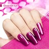 image:imageJODSONE 165ml Cat Eye Gel Nail Polish Glitter Claret Magnetic Reflective Translucent Need U V Curing at Home DIY Design