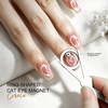 image:imageJODSONE Cat Eye Magnet Set for Nails 8Piece MultiEffect Nail Art KitCT4